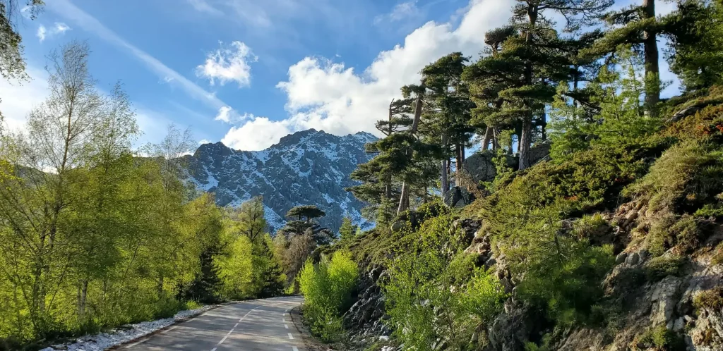 Van et Rance - aménagement sur mesure - paysage montagne route